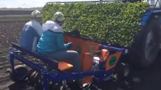 E-Conveer.ru - Рассадопосадочная машина для высадки рассады овощных культур смотреть онлайн