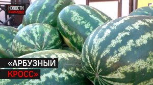 Больше 1,5 тысячи человек прошли «Арбузный кросс в Одинцове» // 360 Одинцово