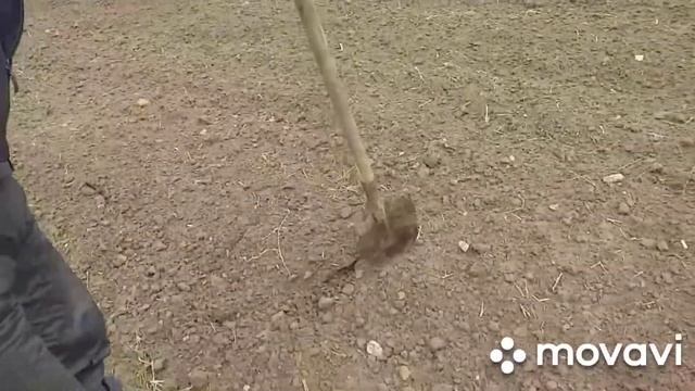 Мотофреза, 