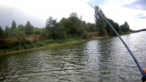 Рыбалка на Озернинском водохранилище часть 1! Осенняя рыбалка! Вечерняя рыбалка!