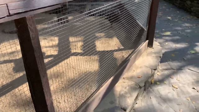 С Луганска в Каменск-Шахтинский в парк Лога, и на рыбалку Северский Донец #парклога #волкмикс