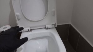 How to fix a toilet seat with hidden fixings