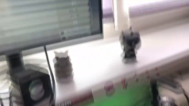 RAZER DEATHADDER ESSENTIAL СПУСТЯ 2 ГОДА Ӏ ОБЗОР САМОЙ БЮДЖЕТНОЙ ГЕЙМЕРСКОЙ МЫШИ ОТ RAZER смотреть онлайн