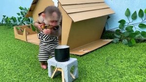 Обезьянка BiBi помогает ухаживать и кормить утят