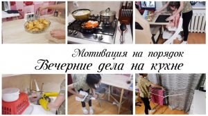 Вечерние домашние дела на кухне / Мотивация на уборку и готовку Растущий стул Павлин от МФ Друг Кузя