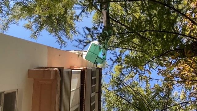 11 сентября 2022 г. смотреть онлайн