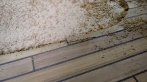 Секреты изготовления тиковой палубы. Работа профессионального яхтенного столяра.