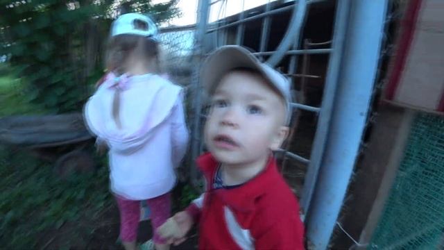 Наслаждаемся летом. Сенокос в огороде. Кабачки на ужин. смотреть онлайн