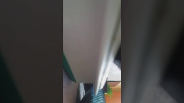 как правильно готовить лапшу big bon смотреть онлайн