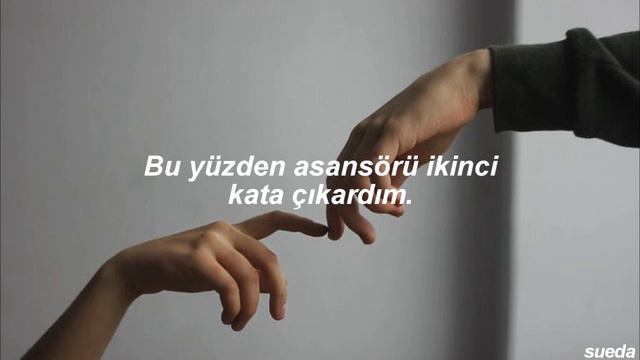 Alec Benjamin - Must Have Been the Wind (Türkçe Çeviri + Lyrics) смотреть онлайн