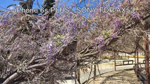 SONY FDR AX53 VS IPHONE 6S PLUS 4K/30FPS
