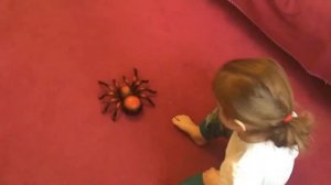 Гигантский паук на радиоуправлении! РАСПАКОВКА