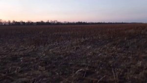 Уборка Пожнивного Подсолнечника 🌻🌻🌻!!! Результат......