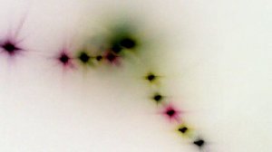 Как выглядят микробы под микроскопом