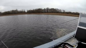 Я В ШОКЕ! ТЕЙЛ СПИННЕРЫ работают перед ледоставом ЛУЧШЕ СИЛИКОНА!