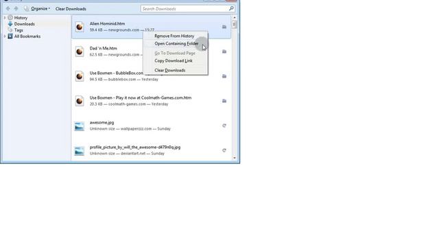 How To Download Flash Games From Any Site Like Newgrounds.com