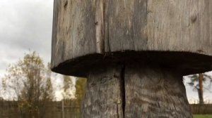 Славянская деревня в Любытино - экскурсия