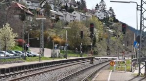 Kuckuck ruft’s aus dem Wald: Schwarzwaldbahn Hausach–Triberg