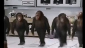 Обезьянки танцуют (мем)