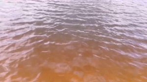 Мурино. Всеволожский район. Рахья. Песчаный карьер.