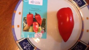 Томат "Корнабель F1". Дегустация