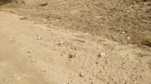 КАМНИ для садового ДИЗАЙНА. ГДЕ их МОЖНО найти.