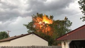 Перекрытие дерева на ЛЭП?