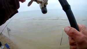 Осенняя ловля пеленгаса в Мариуполе 2019