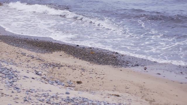 «My Darling Curse» (Lumix G80 + Yongnuo YN 50mm f/1.8) смотреть онлайн