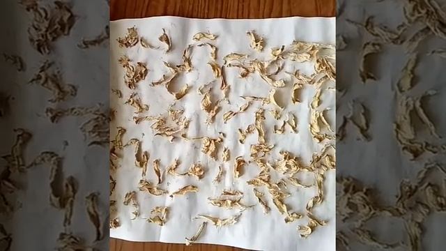 Заготовка ИМБИРЯ. Сушка имбиря. #shorts смотреть онлайн