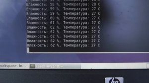 тестируем самодельный #инкубатор из коробки. Цыплята из магазинных яиц