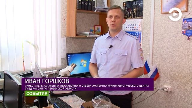 В одном из лесов Пензенского района местный житель обнаружил схрон из 7 тысяч боеприпасов смотреть онлайн