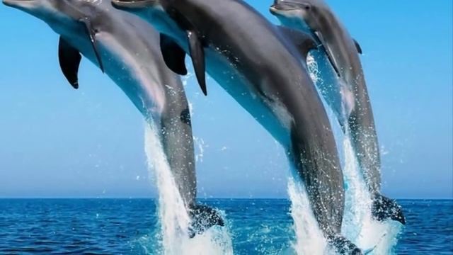 Я летаю о сне ( Армен Казарян ) смотреть онлайн