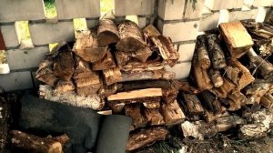 Заготовка дров. Паразиты в дровах - угроза деревянным домам. Личный опыт - как он есть.