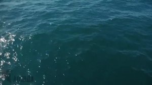 Дамба в Охотском море за 4 трлн Россия снова перекроет Море.