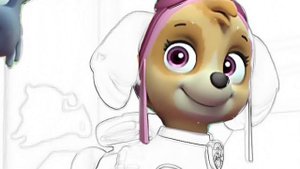 Раскрашиваем Щенков Рокки и Скай из Мультика Щенячий Патруль PAW Patrol Волшебная Раскраска