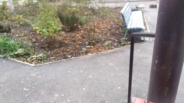 ЗАПОРОЖЬЕ ВОТ ЭТО ДА ДАЖЕ Я ТАКОГО НЕ ПОМНЮ 08.11.23 смотреть онлайн