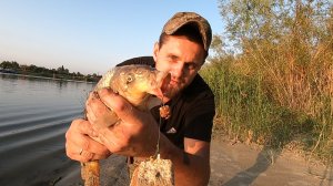 РЫБАЛКА НА ЗАКИДУШКИ. И ВНОВЬ САЗАН! РЕКА ДОН.