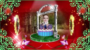 День рождения !  Красная дорожка 01.mp4