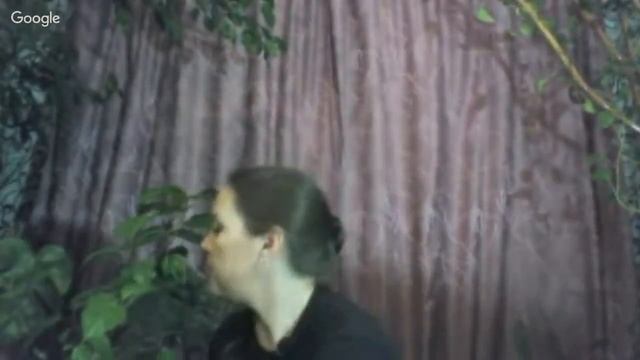 КОМНАТНЫЕ РАСТЕНИЯ -САНИТАРЫ ДОМА. смотреть онлайн