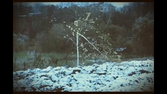 Страшилка: Чёрный дембель