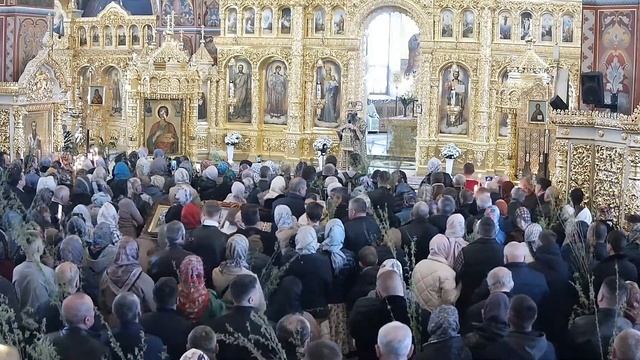 ?Прямая трансляция. Божественная Литургия входа Господня в Иерусалим 17.04.2022 смотреть онлайн