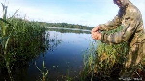 Рыбалка на карася. Ивановская обл., д.Рогатино 31 мая 2019 г