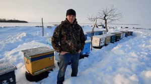 Жжжжбан Адвоката Егорова I Бутылочное пчеловодство I Моё мнение