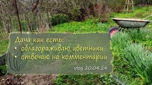 Отвечаю на комментарии и продолжаю облагораживать цветники | vlog Дача как есть 20.04.2024