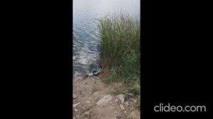 Двухдневная      рыбалка в          Артёмовке      Донецкой области    5-7. 09.21г