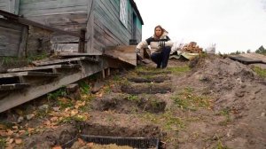 Высаживание сотен луковиц тюльпана _ Правила посадки и составления композиций.mp4