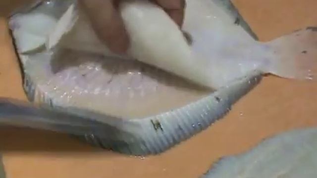 Разделка рыбы. Тюрбо. Мастер класс