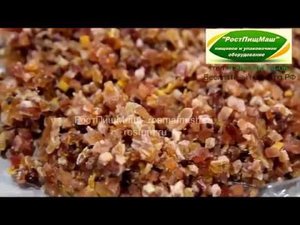 Машина нарезки сухофруктов на кубики DY-801 от РостПищМаш