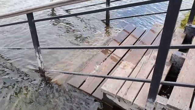 Снижение уровня воды || Наводнение || Паводок || Красноярск. Июнь 2021г. смотреть онлайн